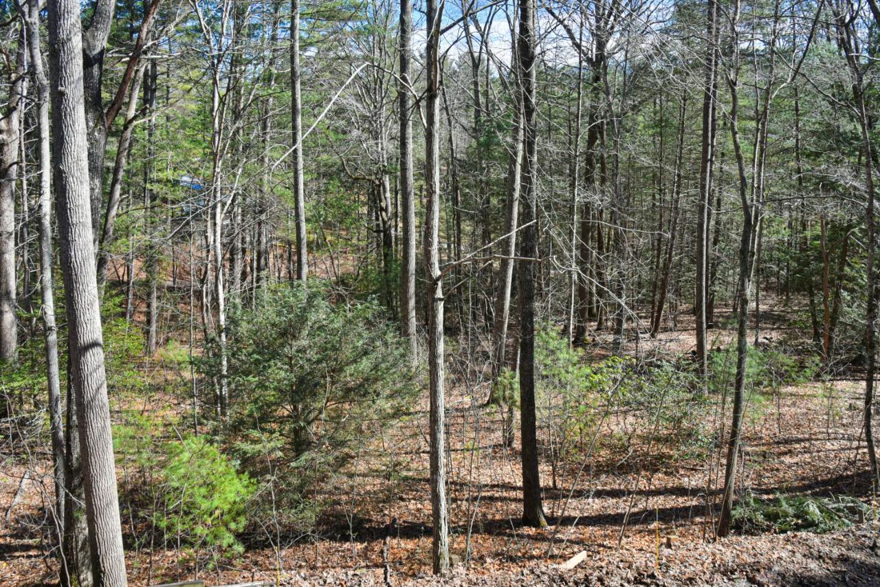 The Camby Cabin Just 12 Miles To Downtown Asheville Extérieur photo